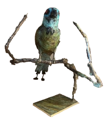 Pajaro_Barranquero_en_arbol
